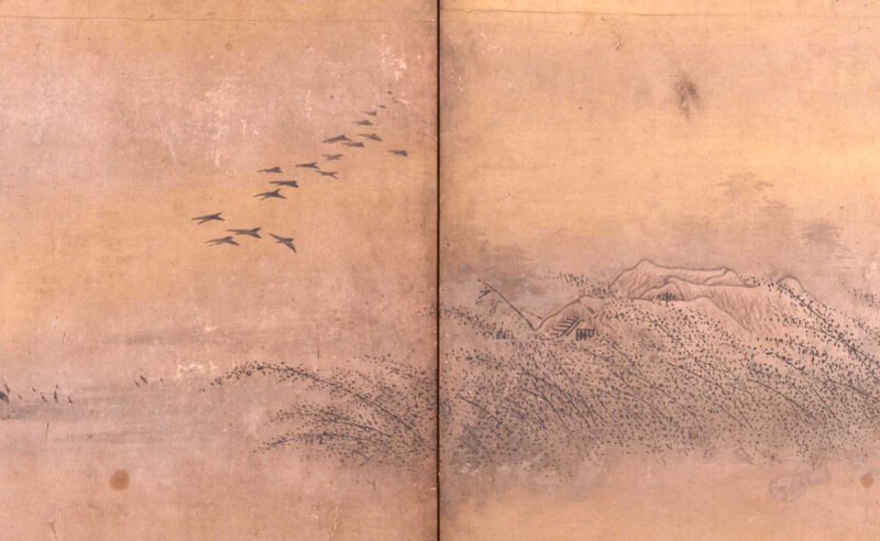 雲谷派
