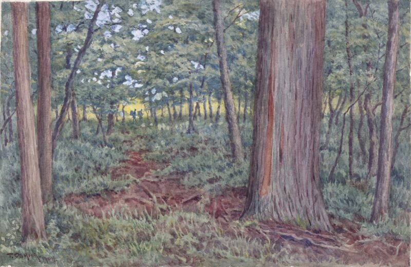 大下藤次郎の水彩画技法を見てみよう